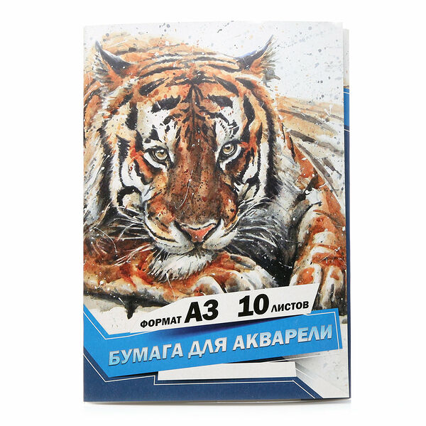 Бумага для акварели ТМ Academy Style (Академи Стайл), в ассортименте