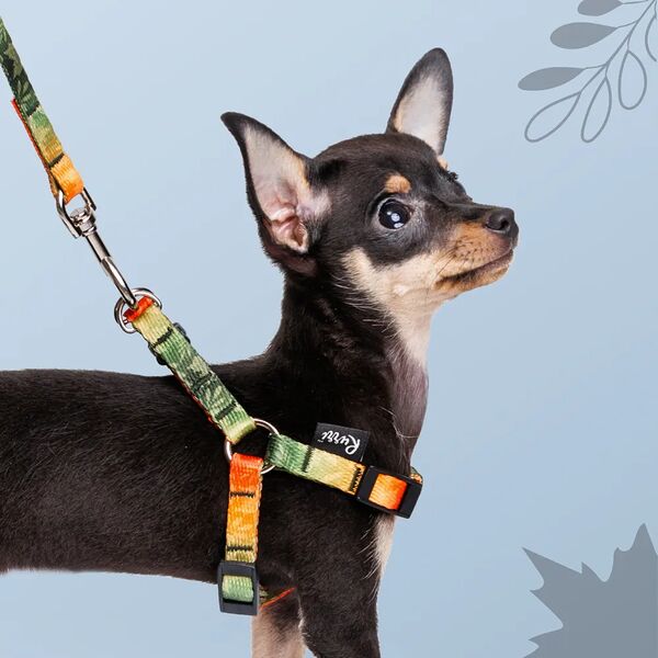 Шлейка для собак и кошек Bright City, XXS, обхват груди 28-38 см