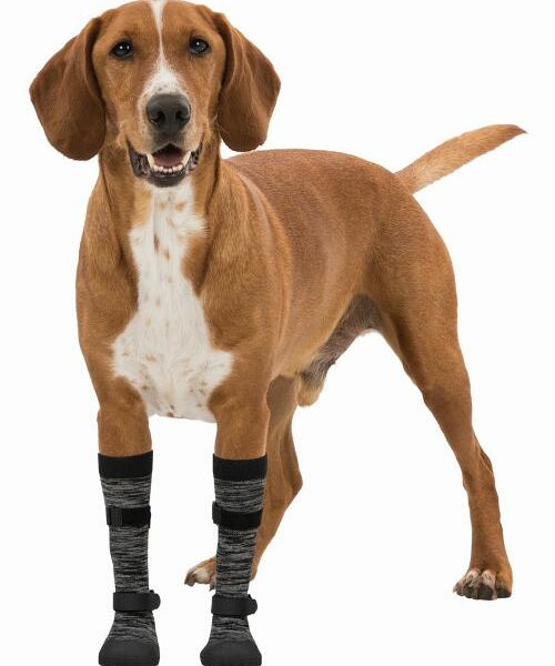 Защитные носки для лап Walker, XS–S, 2 шт., пёстрый чёрный/чёрный