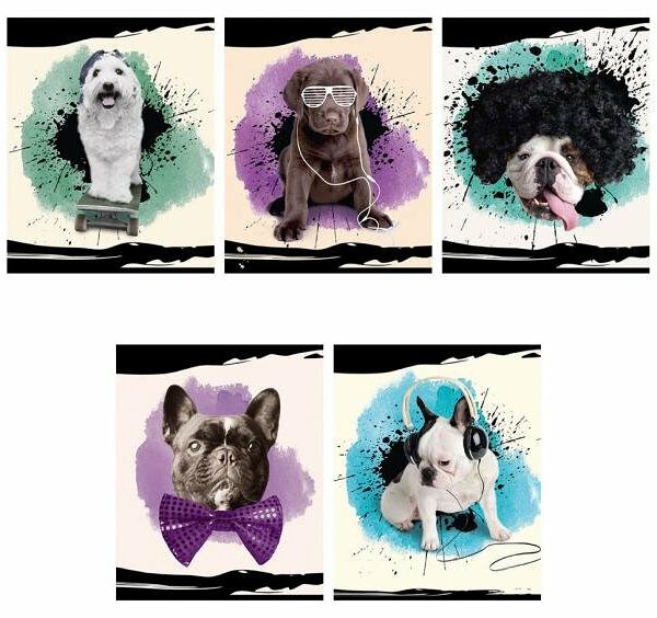 Тетрадь Rachael Hale А5 в клетку 60 л ТМ Academy Style (Академи Стайл)