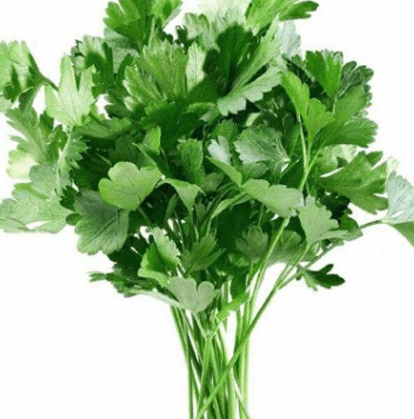 Петрушка свежая ТМ Зеленая Грядка/ТМ Грин Лайн