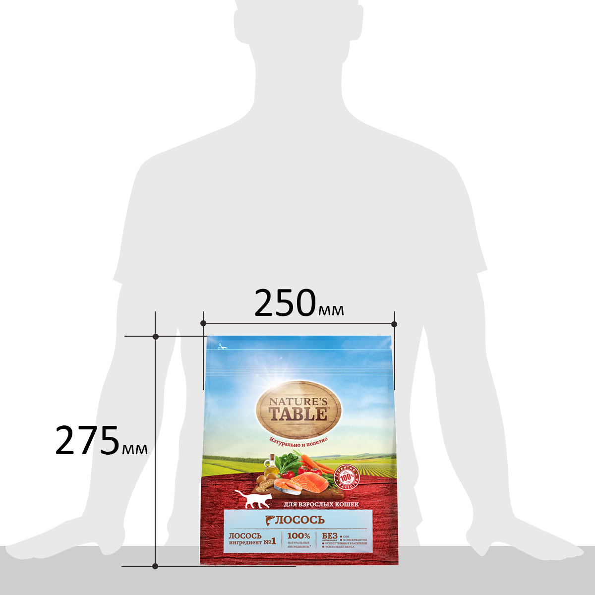 

Сухой корм Nature’s Table для взрослых кошек, Лосось 1.1 кг