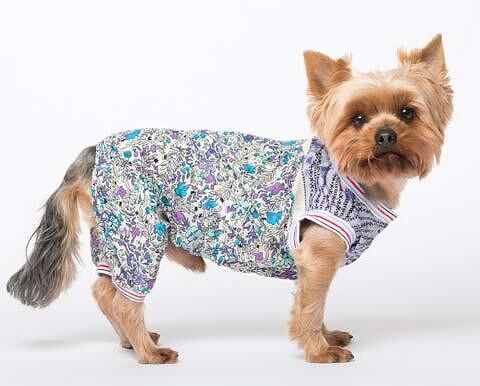 Комбинезон для собак Пляжный S синий (унисекс)