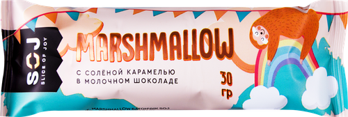 

Батончик SOJ Marshmallow с соленой карамелью в молочном шоколаде 30 г