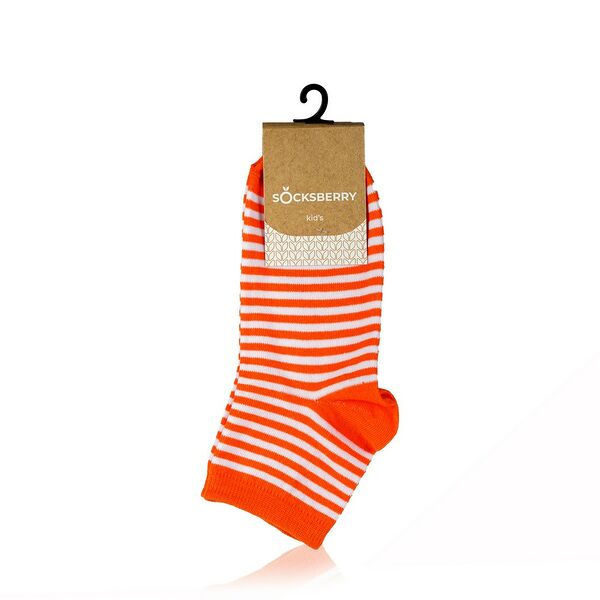 Детские носки Socksberry Kids KS-0017 
