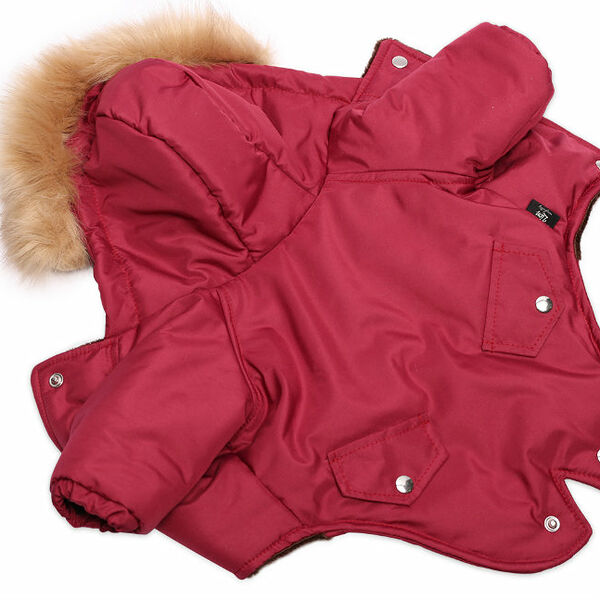Lion Зимняя куртка для собак 