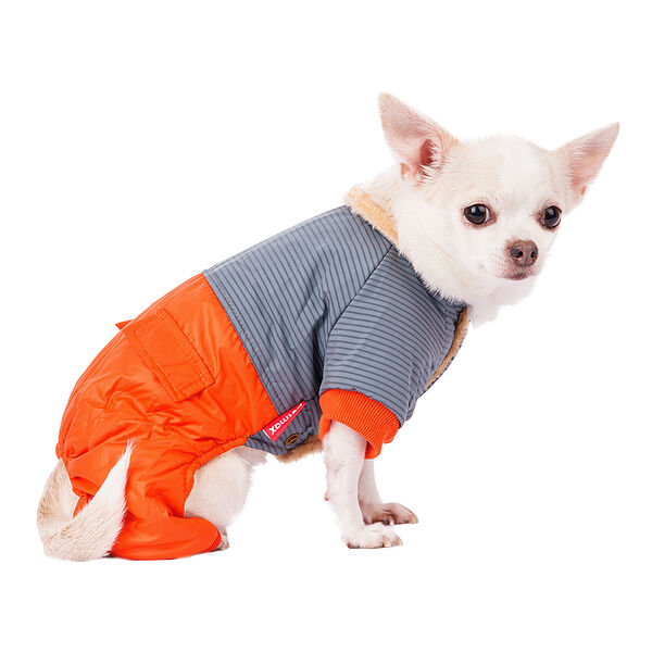 Комбинезон для собак S голубой (унисекс)