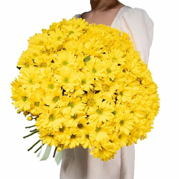25 кустовых желтых хризантем
