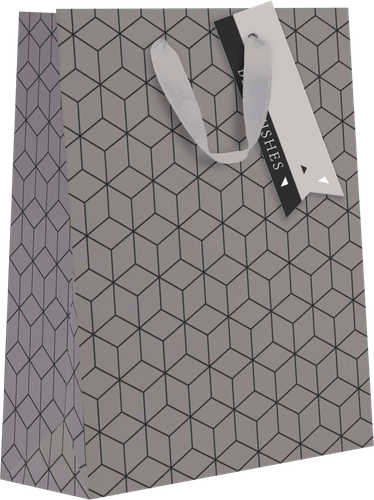 

Пакет подарочный Белый крафт, 22,7х18х10см, премиум Арт. Graphite MTW