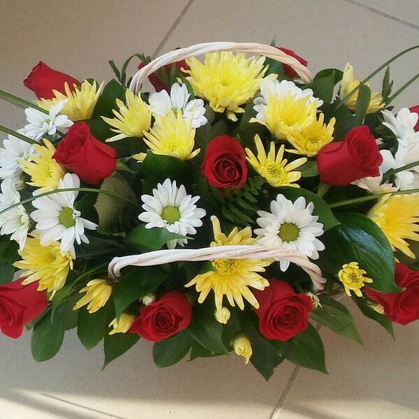 Яркий лучик света