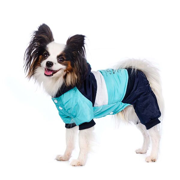 Комбинезон с капюшоном для собак S голубой (девочка)