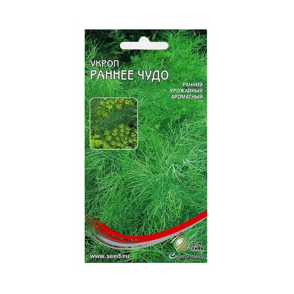 Семена Укроп Раннее Чудо