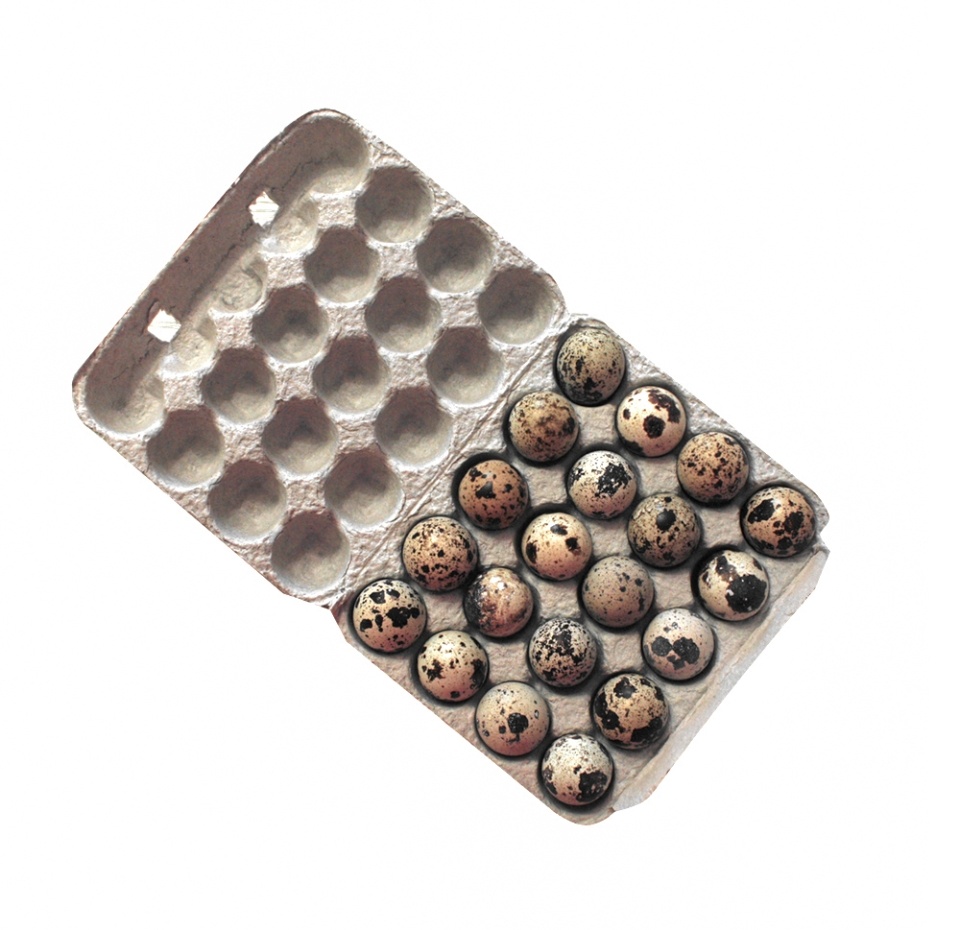 

Яйцо перепелиное HEALTHY NATION, 20 шт