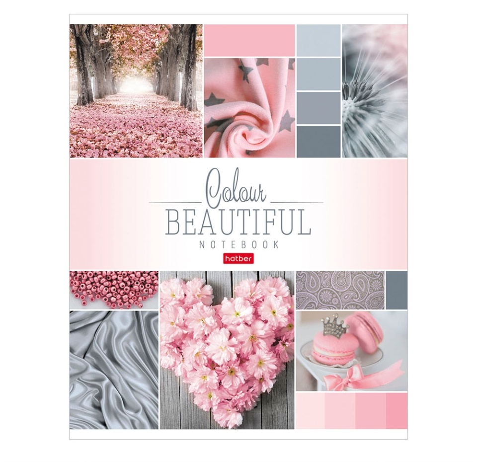 

Тетрадь HATBER Beautiful colour 96л А5ф клетка на скобе, Россия в ассортименте