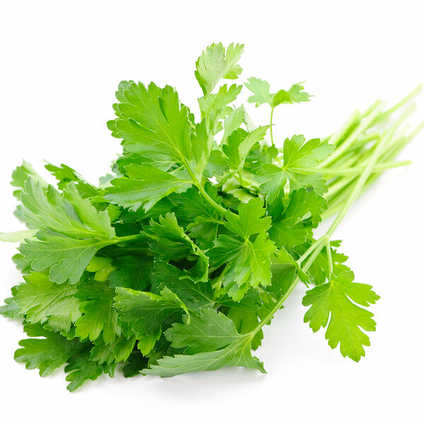 Петрушка свежая ТМ Metro Chef (Метро Чиф)
