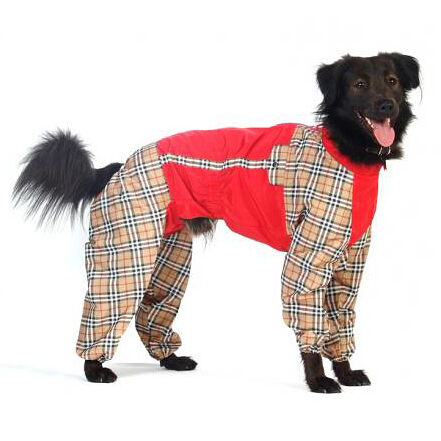 Комбинезон холодный для собак Такса карликовая L (девочка)
