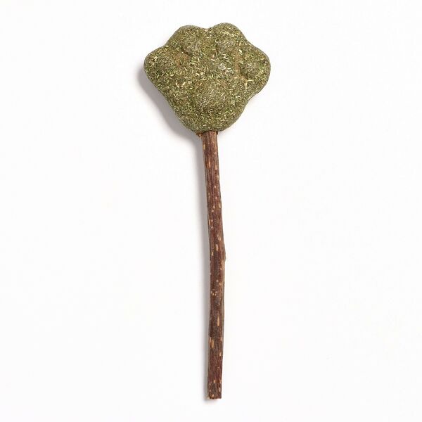 Игрушка для кошек ПИЖОН из кошачьей мяты  Лапа  на палочке из мататаби, 13см