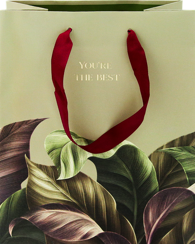 Пакет подарочный MESHU The best, 18х23х10см, отделка фольгой, выборочный лак, матовая ламинация