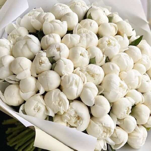 Букет из нежных белых пионов