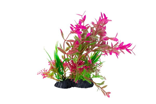 HOMEFISH Конгея растение для аквариума пластиковое с грузом 15см