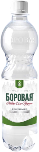 

Вода Боровая питьевая лечебно-столовая минеральная негазированная 0,5 л