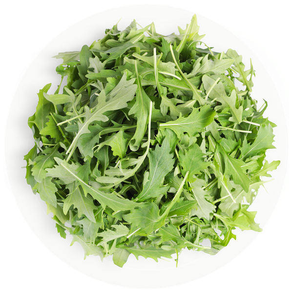 Салат Руккола