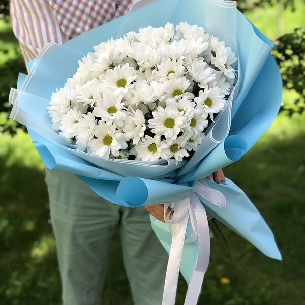 11 ромашковых хризантем