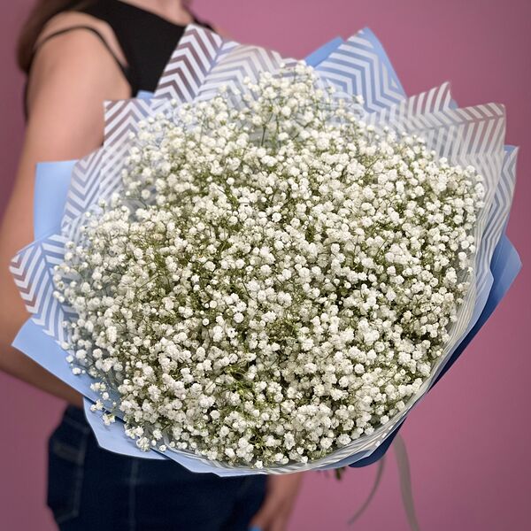 Гипсофила белая 19 шт