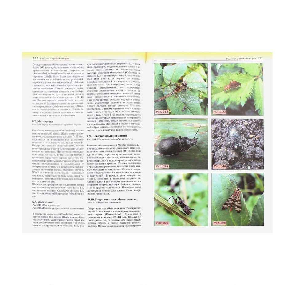 

Книга «Болезни и вредители роз, хвойных и других декоративных растений. Атлас-определитель» Трейвас Любовь, «Фитон XXI», Россия