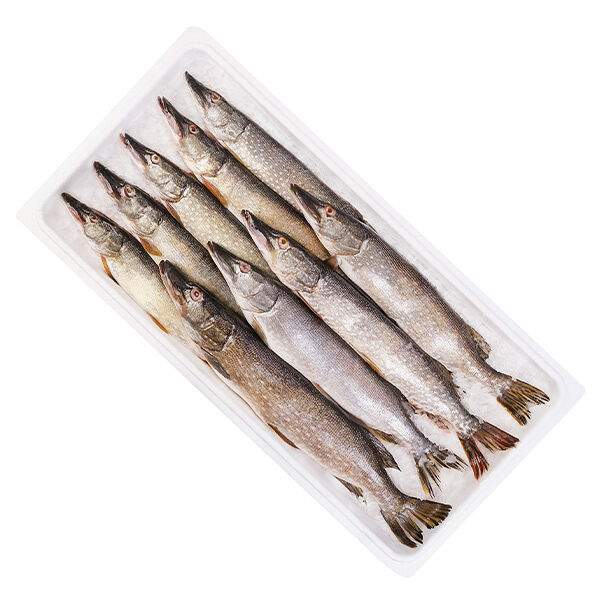 Щука охлажденная ОПТ