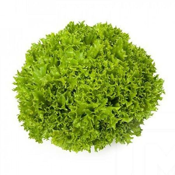 Салат Экзакт в горшочке