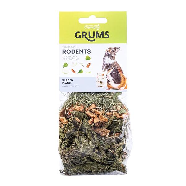Лакомство для грызунов Садовое ассорти, 50 гр.