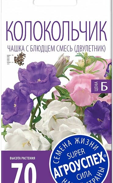 Семена Агроуспех Колокольчик Чашка с блюдцем смесь 0.2г