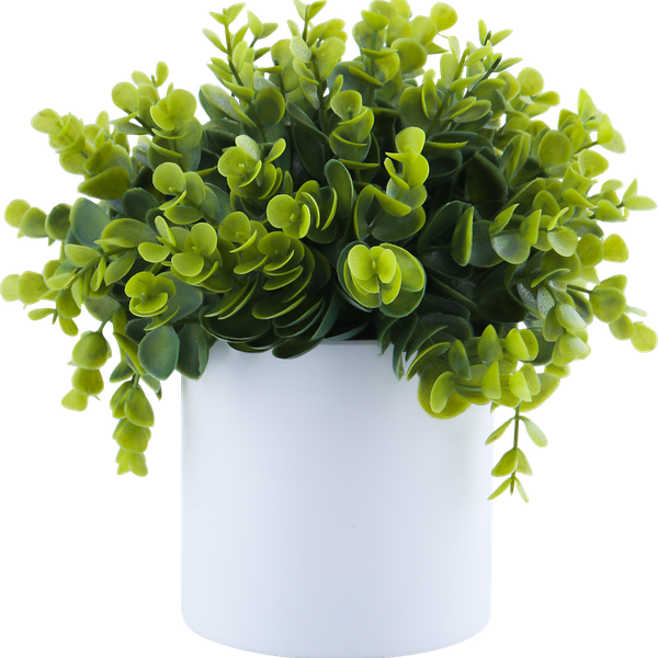 Растение искусственное в горшке Эвкалипт, 22 см