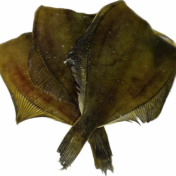 Камбала СЗТК вяленая без головы, вес