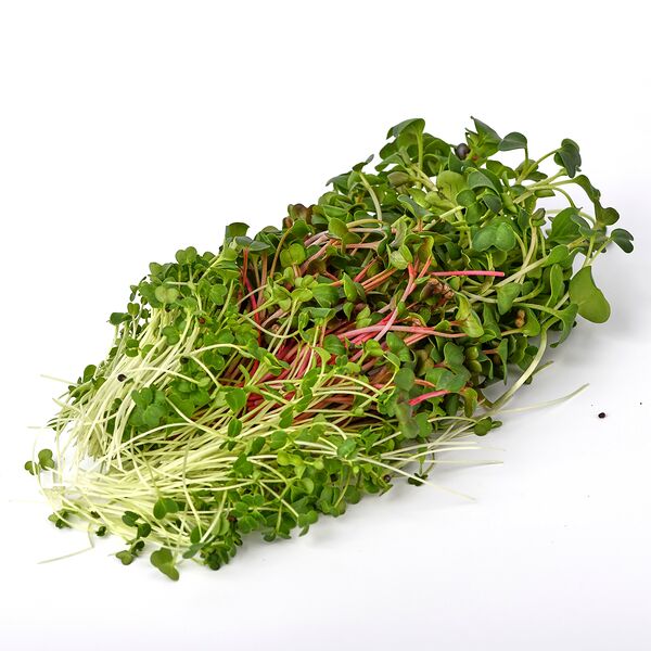 Микрозелень Микс Пикантный