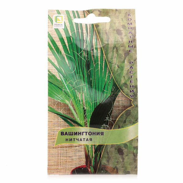 Вашингтония нитчатая ТМ Поиск агрохолдинг
