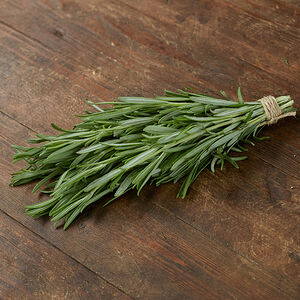 Розмарин свежий