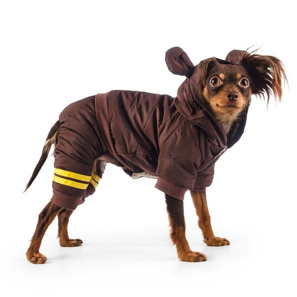 Комбинезон для собак S коричневый (унисекс)
