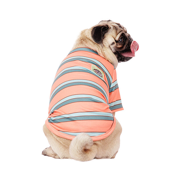 Футболка для собак XL оранжевый (унисекс)