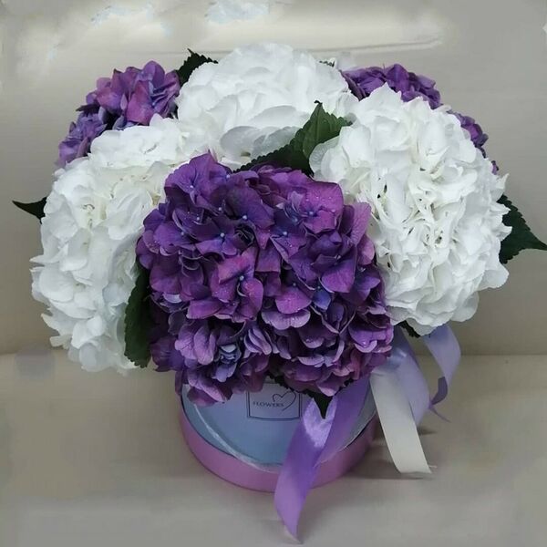 Облако гортензий