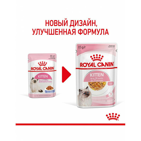 Royal Canin Kitten Jelly кусочки в желе для котят в период второй фазы роста в возрасте до 12 месяцев 85 г
