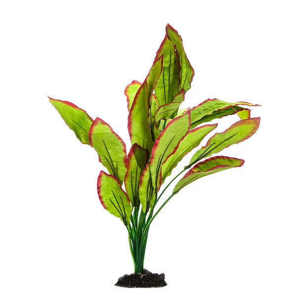 Декор для аквариума Эхинодорус Озирис 40 см