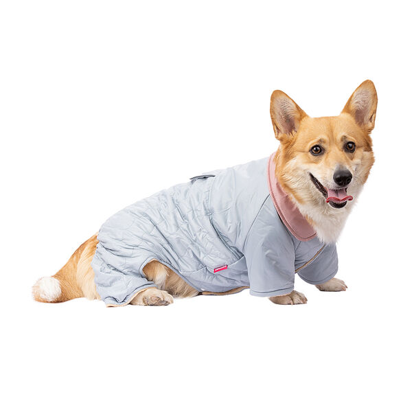 Комбинезон Petmax для собак, 4XL, голубой (девочка)