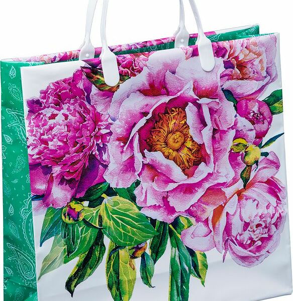 Сумка Арт и Дизайн Langre пластиковая