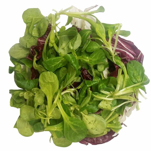 Салат радичио и корн Маркет Fresh