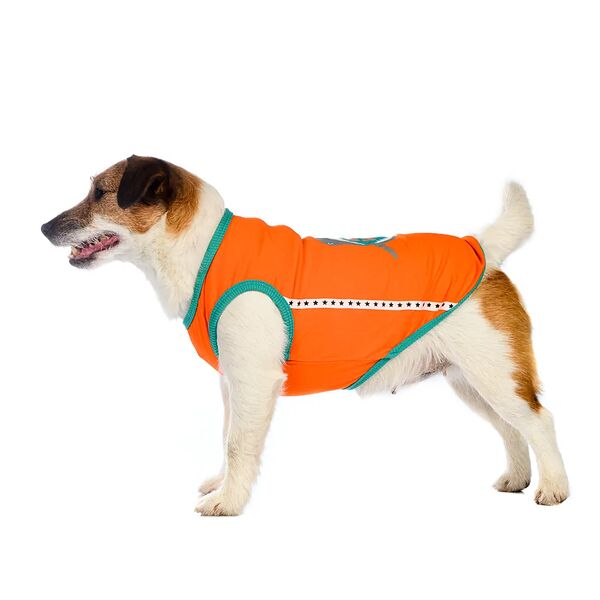Футболка для собак Petmax XS оранжевый (унисекс)