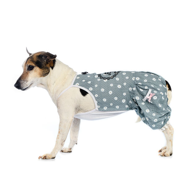 Костюм летний для собак 2XL голубой (унисекс)	