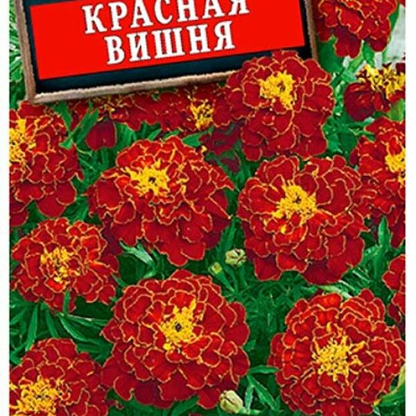 Семена Тагеттес бархатцы Красная вишня ТМ Аэлита