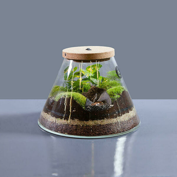 Флорариум Теят